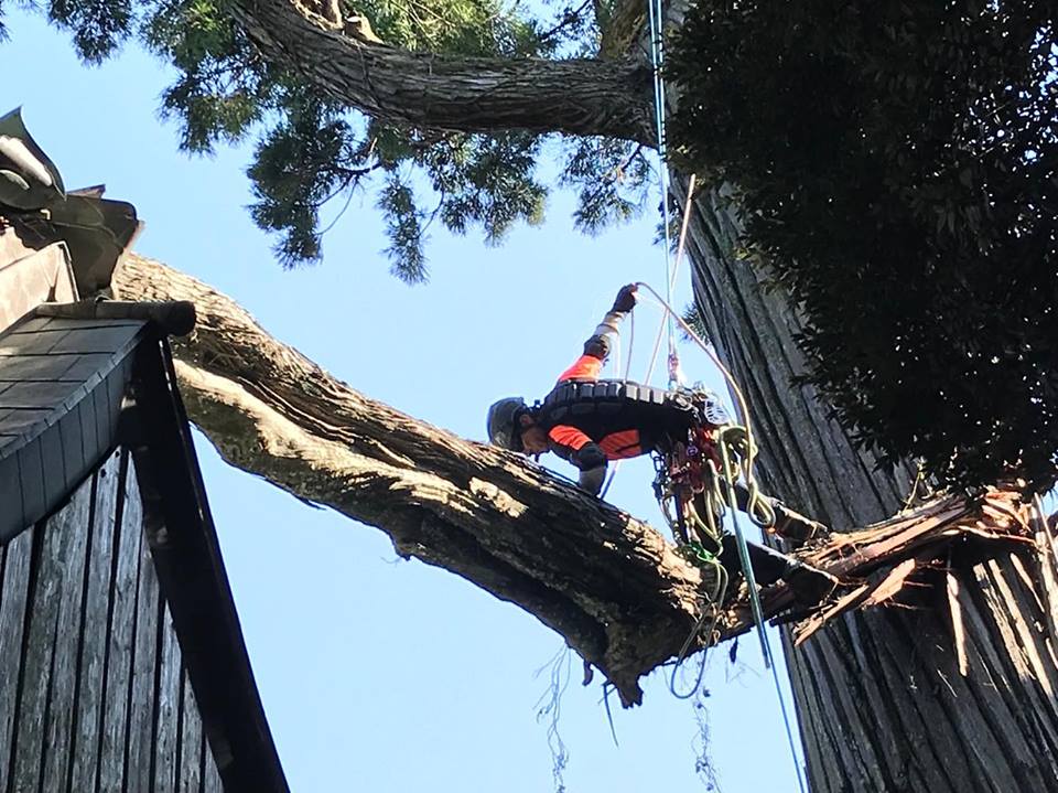 ワーク・セイフティ