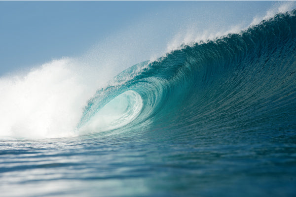 Long Skateboard<br> HEAVEN DAVE'S WAVE 38"<br> Color: The natural pumping acceleration is the best! If you want to learn how to make sharp turns, this is it! <br>Popular surf skates and longboard skates. Limited quantities available. Special price.