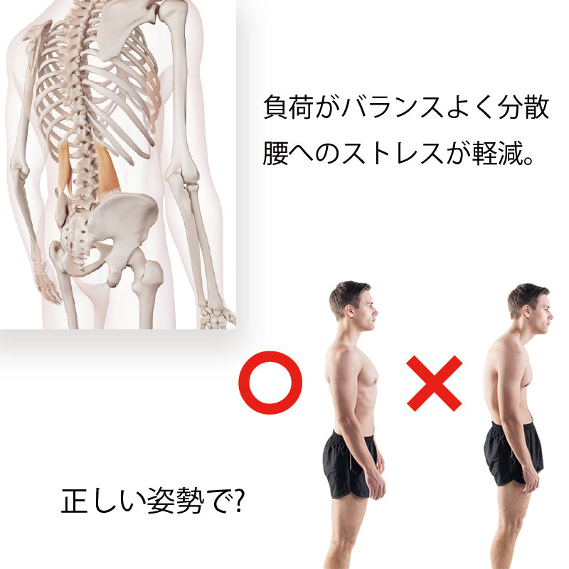 <br>Taikan Belt<br> YOROI TAIKAN BELT<br> Armor <br>Snowboard Armor Protector Snowboard Ski Back Waist Supporter Trunk Lumbar Belt Back Pain Sudden Lower Back YR810