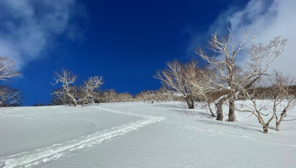 スノーボード スキー ヒッププロテクター ヒップパッド ヨロイ 鎧YS515II YOROI AIRLY SHORT II WOMAN レディース エアリーショート2パンツ オールシーズン ショートパンツプロテクター スケートボード 乗馬 バイク BMX オフロード　軽量強靭パルクール